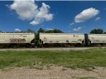 CMO 104901